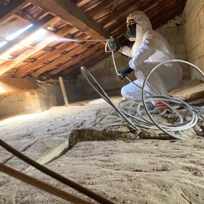 Technicien BDX Termites Langon traitant la charpente de combles par pulvérisation