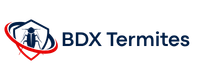 BDX Termites Langon
